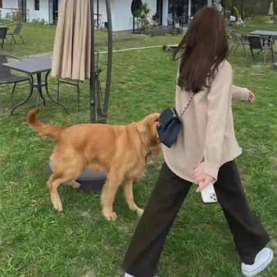 纪律如铁，柔情似水