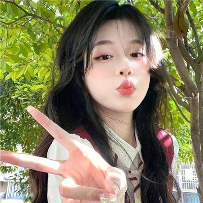 风骚律师