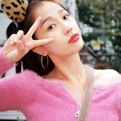 内华达搜熊犬