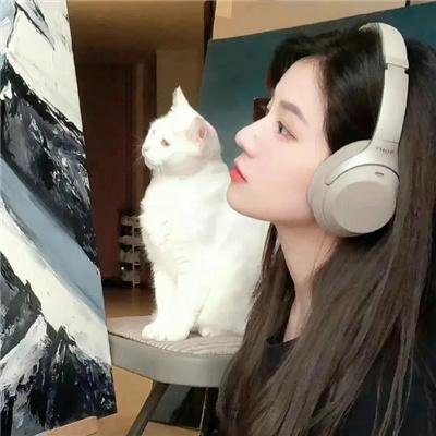 婉君表妹