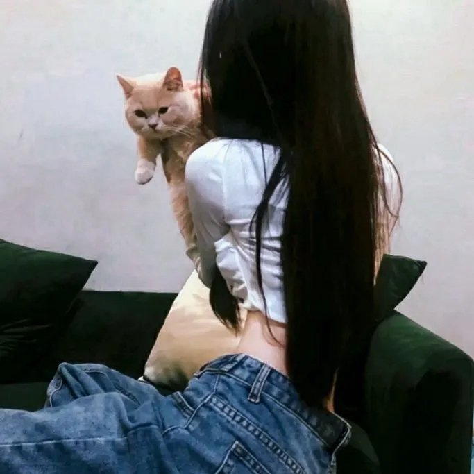 咒怨：终结的开始